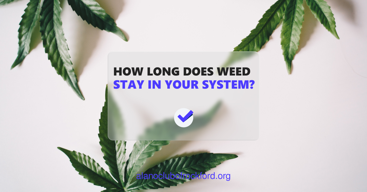 How Long Does Weed Stay In Your System? 